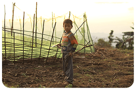 Hình ảnh các bé vùng cao Lai Châu